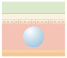 しわが目立たなくなった肌