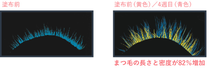 エクストララッシュの効果