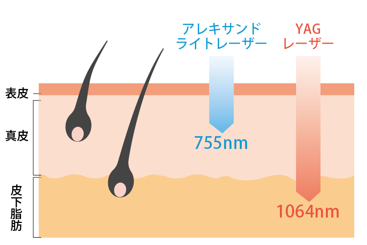 波長